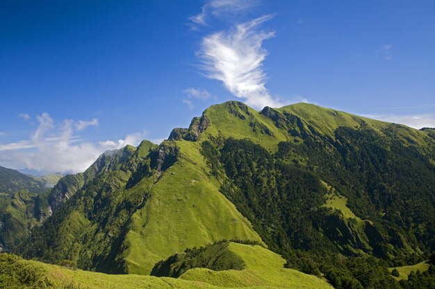 Zdjęcie sceniczny widok zielonego krajobrazu na tle nieba