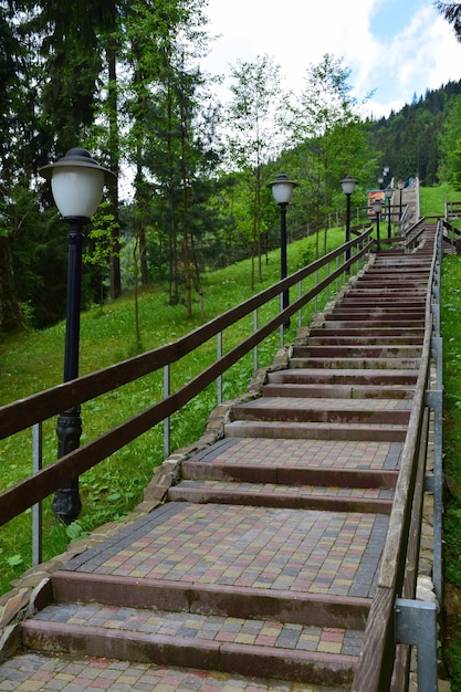 Schody prowadzące na górę ze stopniami z kamiennych płytek. Po jego bokach znajdują się latarnie uliczne i balustrady. Dużo zieleni. Fotografowane latem