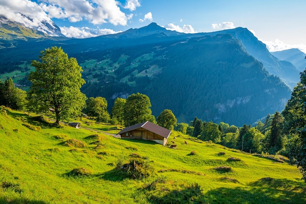 Schronisko W Grindelwald