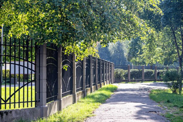 Zdjęcie Ścieżka dla pieszych między zielonymi drzewami i sztucznym metalowym płotem na boku