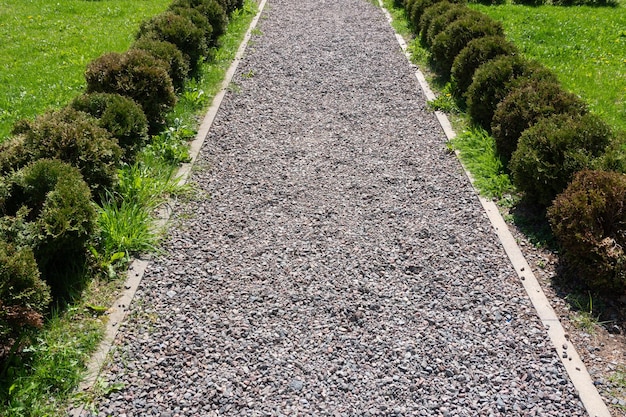 Ścieżka dla pieszych z małego żwiru w ogrodzie wzdłuż klombu z czerwonymi kwiatami zielonej trawy selektywnej ostrości