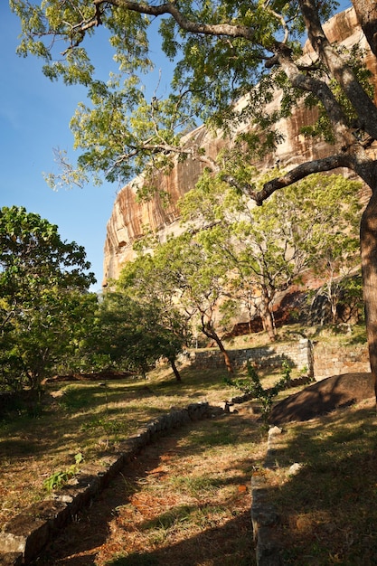 Ścieżka do skały Sigiriya