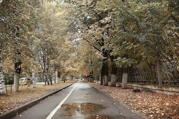 ścieżka jesienny park / jesienny krajobraz, żółty park w jesiennych drzewach i liściach, piękny słoneczny dzień w parku miejskim. upadek