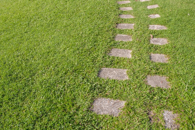 Zdjęcie Ścieżka kamień natura w ogrodzie