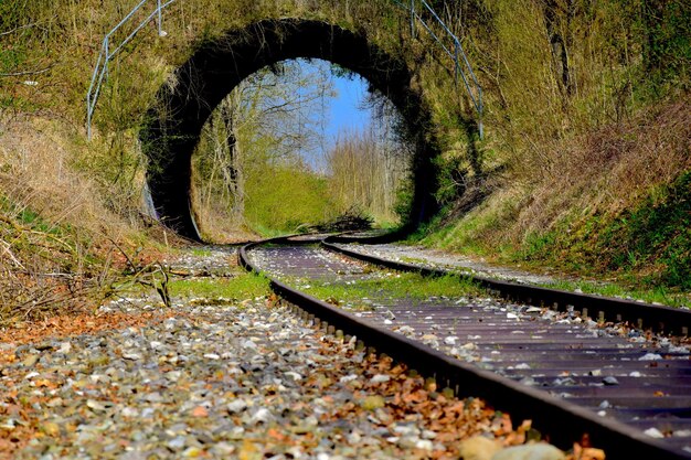 Zdjęcie Ścieżka kolejowa w tunelu