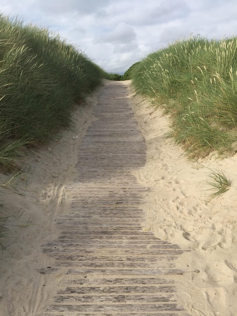 Zdjęcie Ścieżka prowadząca do plaży na tle nieba