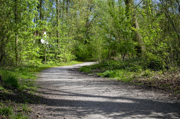 Ścieżka przez las ze znakiem „droga jest otwarta”
