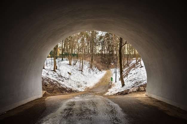 Ścieżka Przez Tunel Do Lasu, ścieżka Do Lasu, Tunel Do Lns