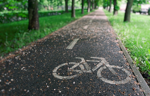 Zdjęcie Ścieżka rowerowa między drzewami po deszczu