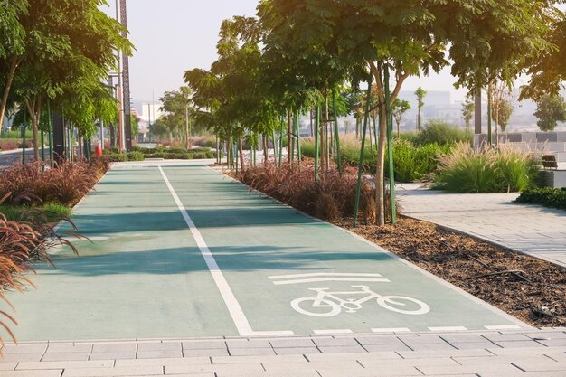 Ścieżka rowerowa ze znakiem rowerowym na zielonej powierzchni w mieście miejskim