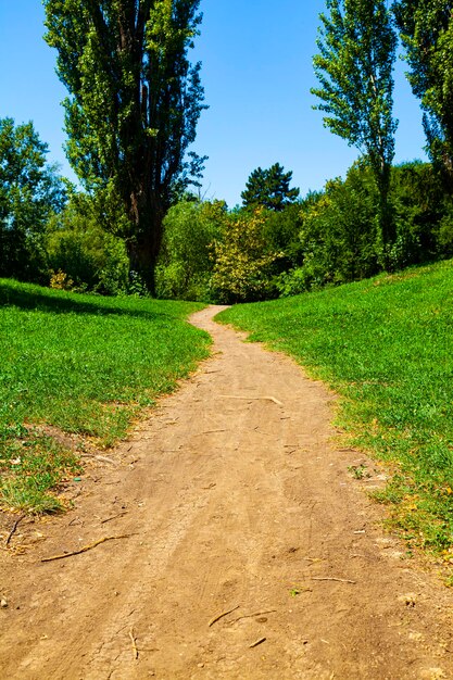 Ścieżka Spacerowa. Piękny Letni Krajobraz. Park W Słoneczny Dzień.