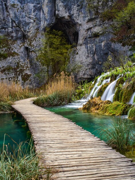 Zdjęcie Ścieżka w parku narodowym jeziora plitvice