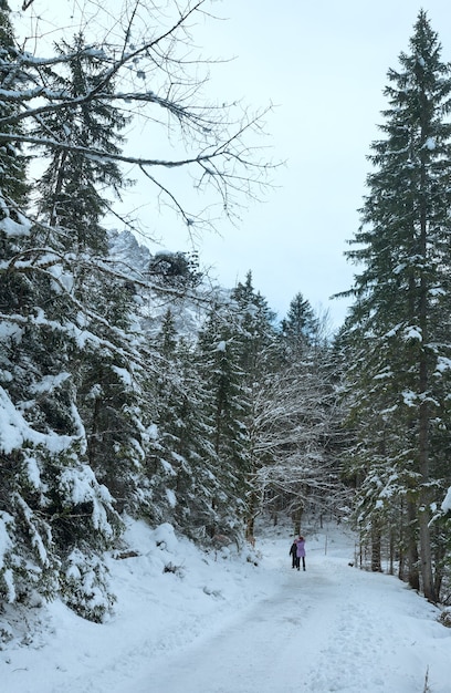 Ścieżka wokół jeziora Eibsee i dzieci na spacer. Zimowy widok. Bawaria, Niemcy.