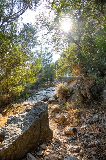 Ścieżka wśród drzew i ruin antycznego miasta Termessos bez turystów w pobliżu Antalyi w Turcji