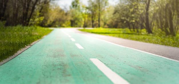 Ścieżki dla pieszych i zielone ścieżki rowerowe w parku