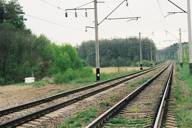 Zdjęcie Ścieżki kolejowe na jasnym niebie