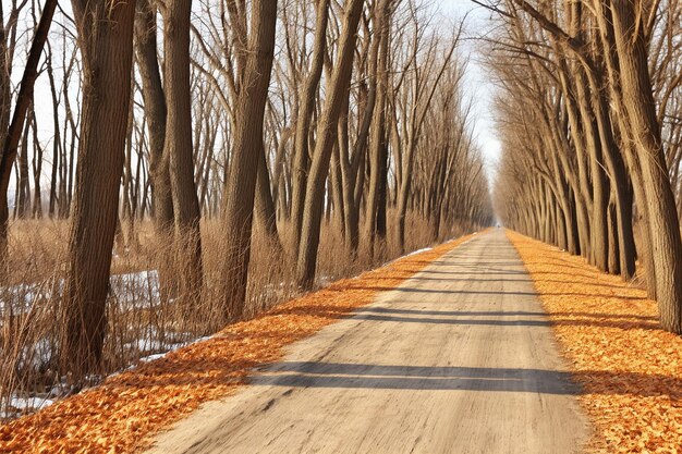 Ścieżki rowerowe w zimną pogodę