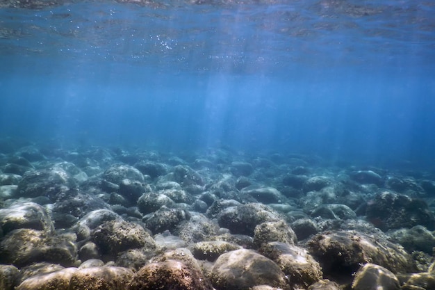 Sea Life Podwodne skały Światło słoneczne, podwodne życie.