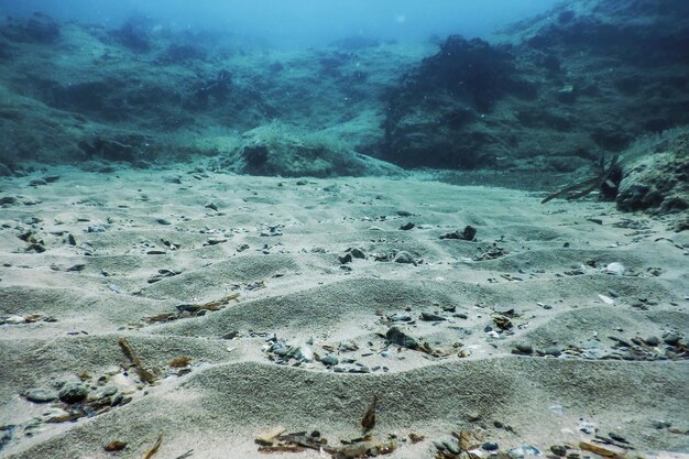 Sea Life Podwodne skały Światło słoneczne, podwodne życie.