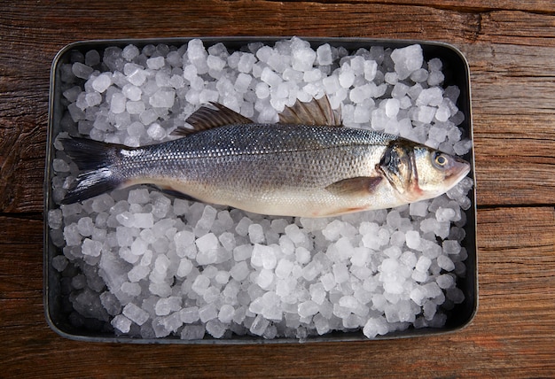 Seabass świeża ryba na lodzie i drewnie