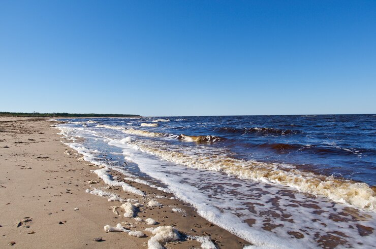 Zdjęcie seaboard white sea .rosja, region archangielsk.