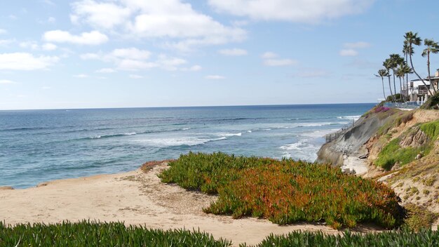 Seascape punktu widzenia w Carlsbad, Kalifornia wybrzeża USA. Frome nad falami morza oceanu, stromy klif.