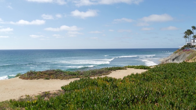 Seascape vista point california wybrzeże usa ocean fala błękitne morze fala wychodzą na lód roślina soczyste