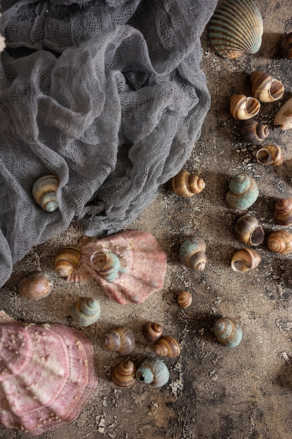 Seashells i rocznik tkanina na ciemnym tle