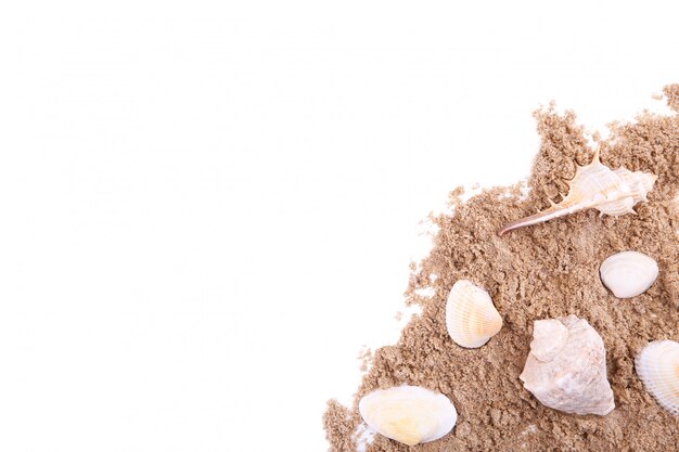 Seashells na stosie piasek odizolowywający nad bielem
