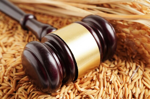 Sędzia młot z dobrym ziarnem ryżu z farmy rolniczej Koncepcja sądu prawa i sprawiedliwości