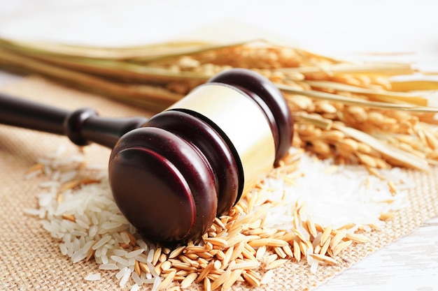 Sędzia młotek młotkowy z dobrym ryżem zbożowym z gospodarstwa rolnego Koncepcja sądu i sprawiedliwości