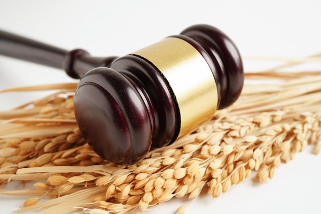 Zdjęcie sędzia młotek młotkowy z dobrym ryżem zbożowym z gospodarstwa rolnego koncepcja sądu i sprawiedliwości