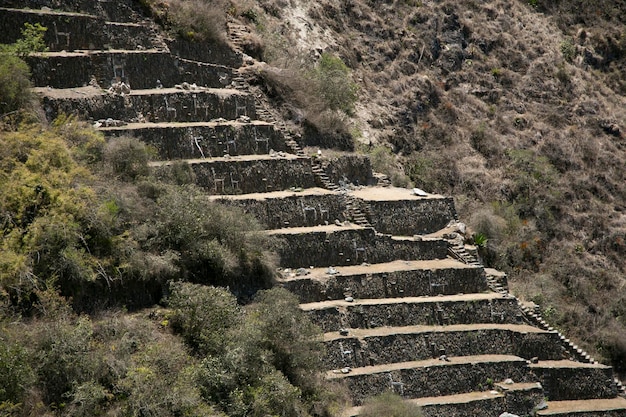 Sektor Lamy w ruinach Choquequirao, Peru.