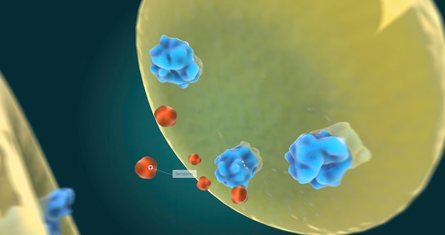 Zdjęcie selektywne inhibitory wychwytu zwrotnego serotoniny ssri to leki przeciwdepresyjne stosowane w leczeniu depresji