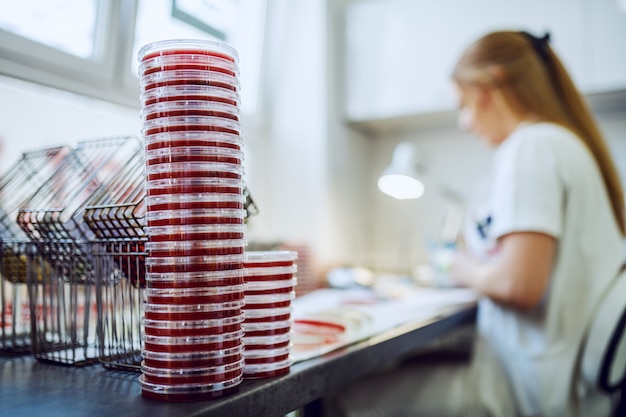 Selektywne skupienie się na płytkach Petriego na biurku laboratoryjnym.