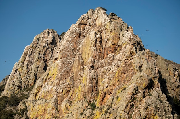 Sępy latające nad turniami Salto del Gitano w Parku Narodowym Monfrague