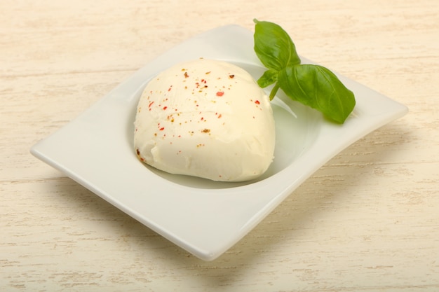 Ser mozzarella