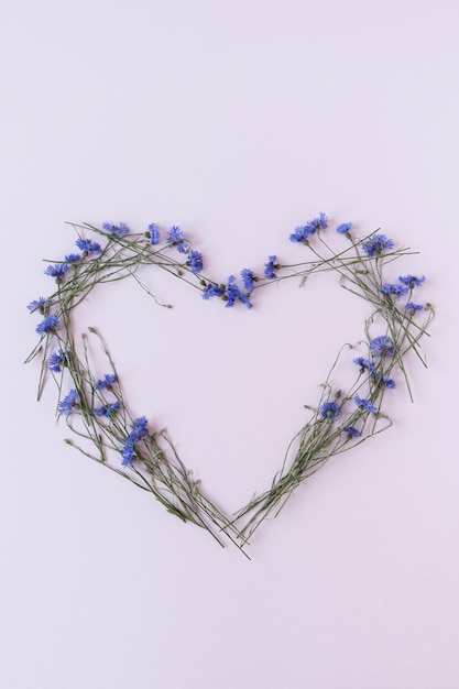 Serce wykonane z niebieskich chabrów na różowym tle Kompozycja kwiatów