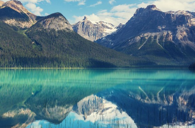 Serenity Emerald Lake w Parku Narodowym Yoho w Kanadzie. Filtr na Instagramie