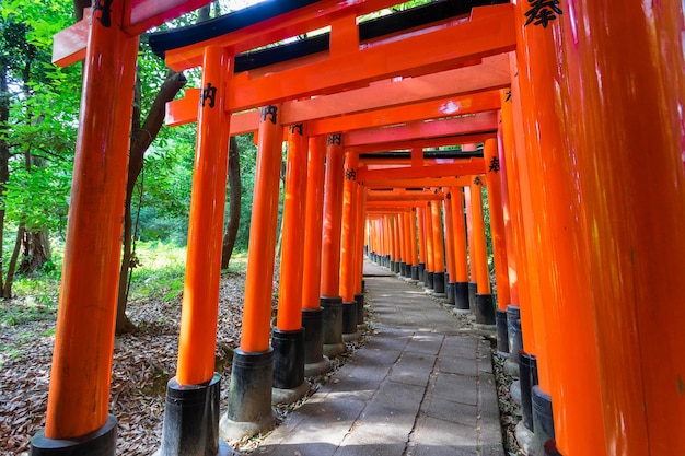 Zdjęcie serie czerwony torii w sintoizm świątyni, kyoto