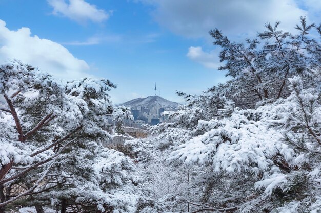 Zdjęcie seul w zimie ze śniegiem i seoul tower w korei południowej