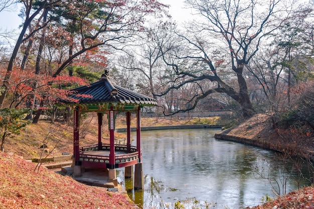 SeulKorea Południowa 1122020 widok pawilonu na sekretny ogród pałacu Changdeokgung