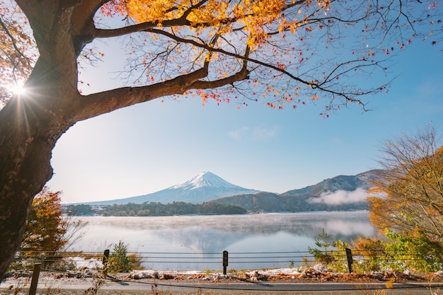 Sezon jesień i Góra Fuji z wieczorem światła i czerwone liście na jeziorze Kawaguchiko, Japonia.