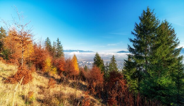 Zdjęcie sezon jesienny w regionie liptov słowacja
