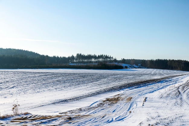 Sezon zimowy z zaspami po śniegu świeży i czysty śnieg w przyrodzie w sezonie zimowym