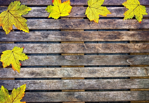 Sezonów, tła i tekstury pojęcia jesieni kolorowi liście na drewnianym tle ,.