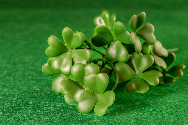 Zdjęcie shamrock na zielono