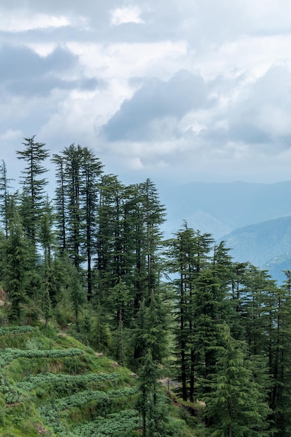 Zdjęcie shimla widok z lotu ptaka na malowniczą stację na wzgórzu w himalajach w himachal pradesh