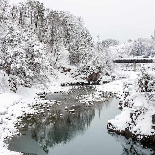 Shirakawago Japan Winter