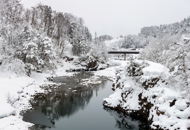 Shirakawago Japan Winter